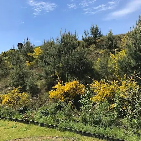 Bunker 35 *